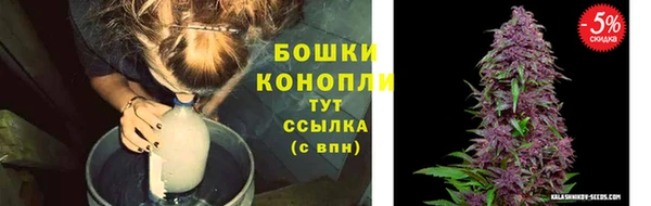 2c-b Лагань