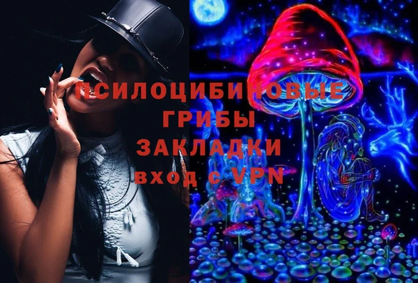 2c-b Лагань