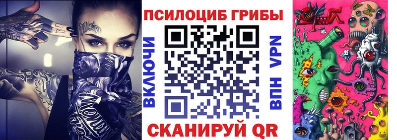 Купить закладки  Камбарка  Галлюциногенные грибы MAGIC MUSHROOMS 